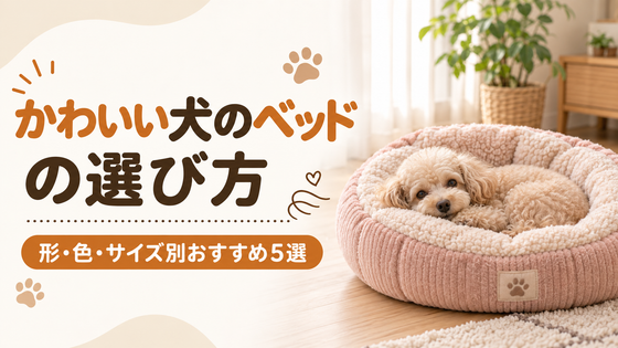 かわいい犬のベッドの選び方|形・色・サイズ別おすすめ5選