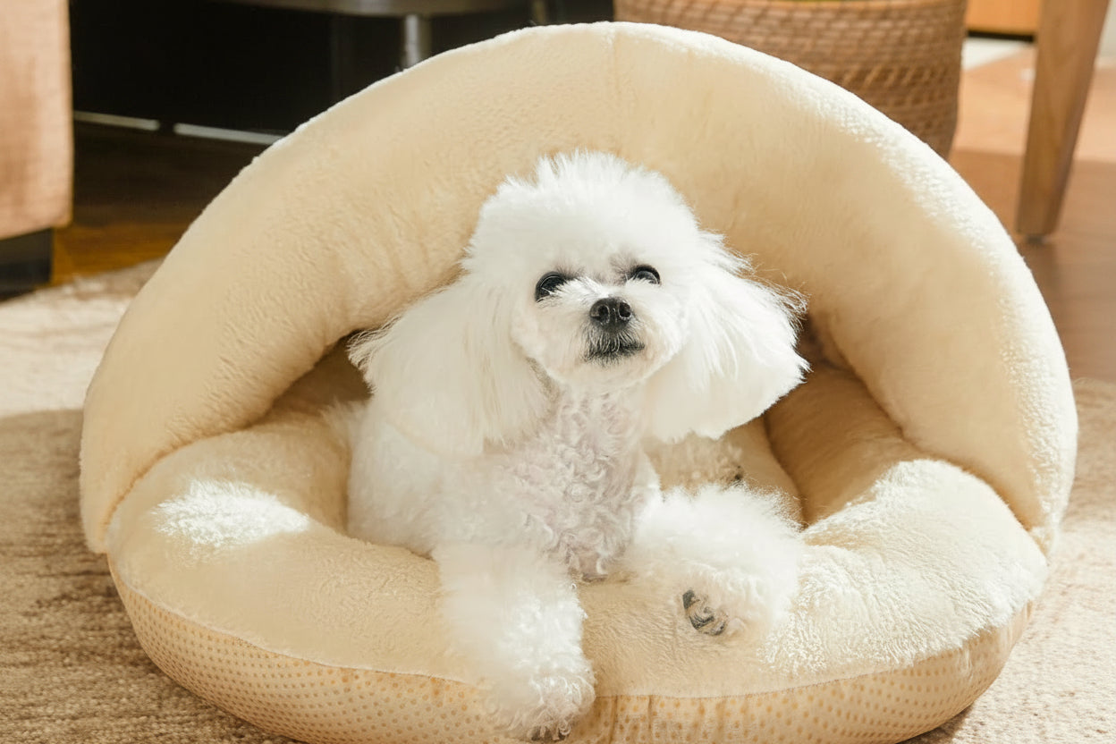 犬ベッド ドーム型 プラッシュ あったか やわらか