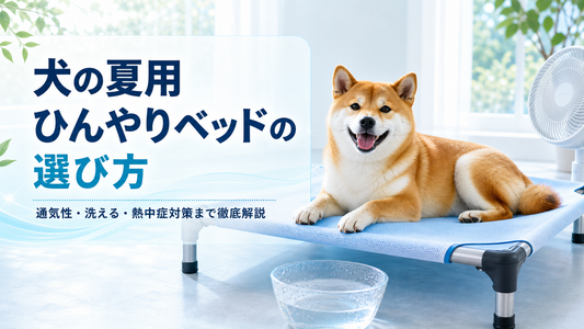 犬の夏用ひんやりベッドの選び方｜通気性・洗える・熱中症対策まで徹底解説