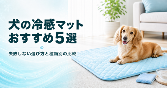 犬の冷感マットおすすめ5選｜失敗しない選び方と種類別の比較