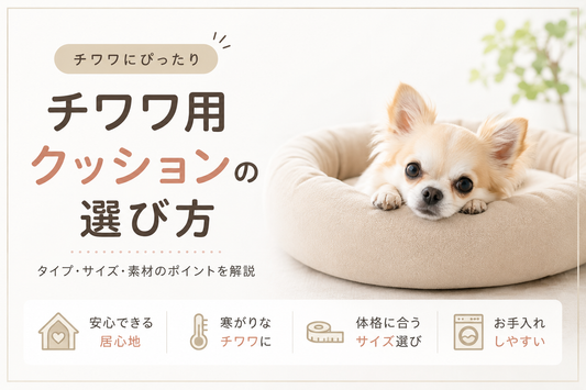 チワワ用クッションの選び方とおすすめ5選｜ドーム型・布団・寝床の違いを徹底解説