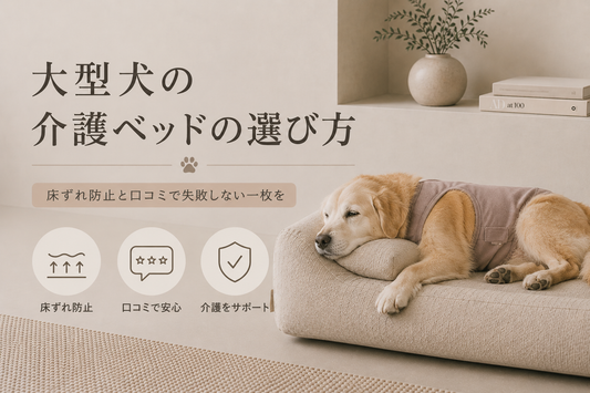 大型犬の介護ベッドの選び方｜床ずれ防止と口コミで失敗しない一枚を