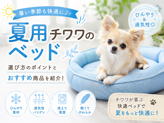 チワワに最適な夏用ベッドの選び方｜洗える・ひんやり対応で快適な夏を