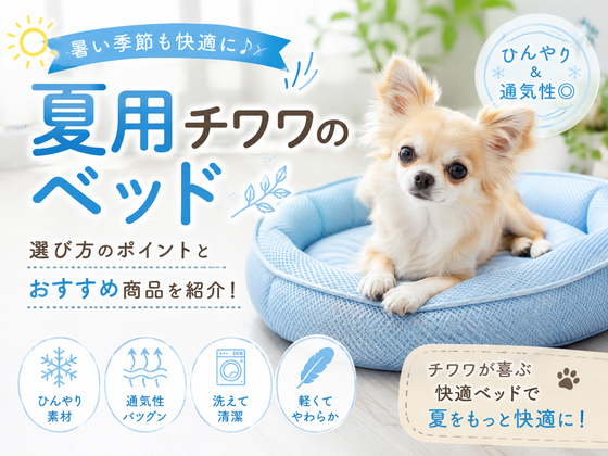 チワワの夏用ベッドの選び方｜夏の室温の目安・洗える・ひんやり対応