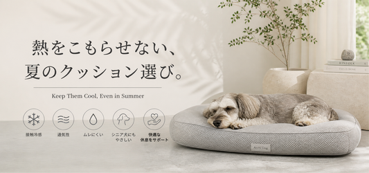 夏におすすめの犬用ベッドの選び方｜涼しくて快適な愛犬用ベッド