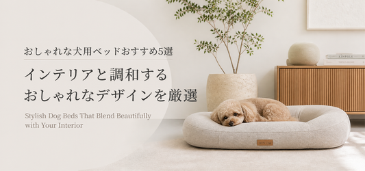 おしゃれな犬用ベッドおすすめ5選｜インテリアと調和するおしゃれなデザインを厳選