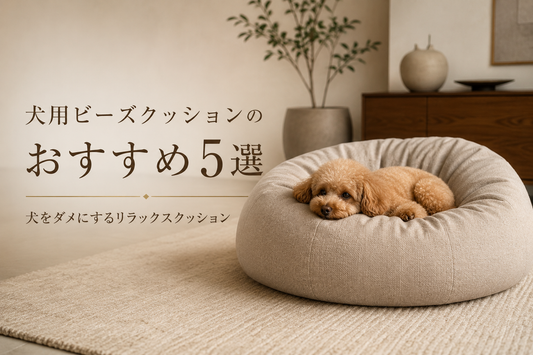 犬用ビーズクッションのおすすめ5選｜犬をダメにするリラックスクッション