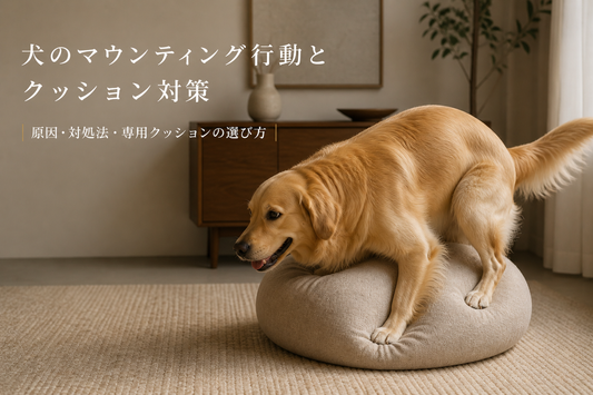 犬のマウンティング行動とクッション対策｜原因・対処法・専用クッションの選び方
