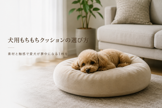犬用もちもちクッションの選び方｜素材と触感で愛犬が夢中になる1枚を