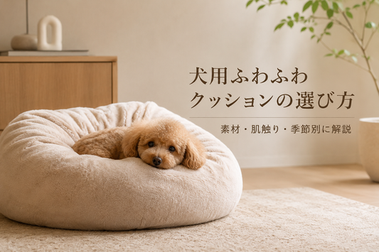 犬用ふわふわクッションの選び方｜素材・肌触り・季節別に解説
