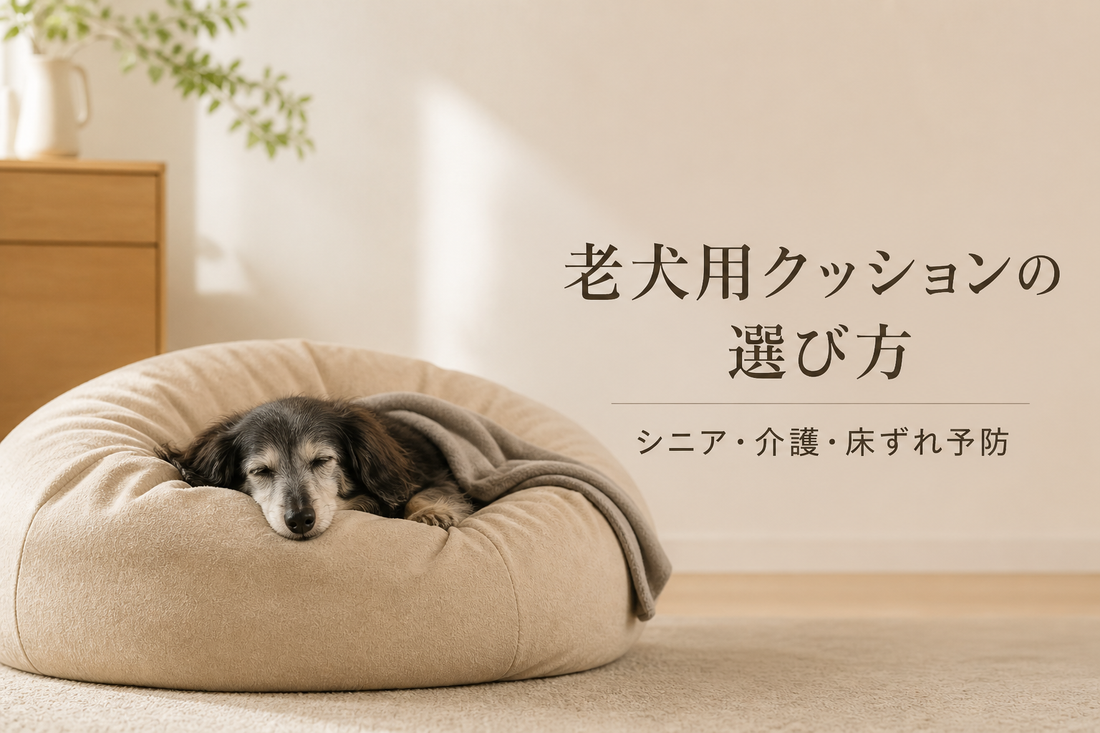 老犬用クッションの選び方｜シニア・介護・床ずれ予防