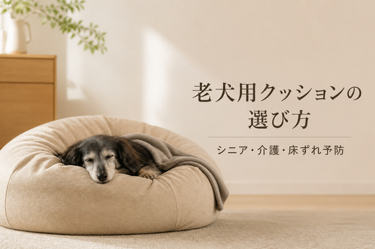 老犬用クッションの選び方｜シニア・介護・床ずれ予防