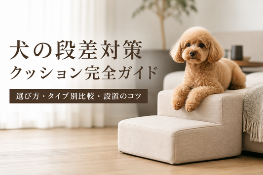 犬の段差対策クッション完全ガイド｜選び方・タイプ別比較・設置のコツ