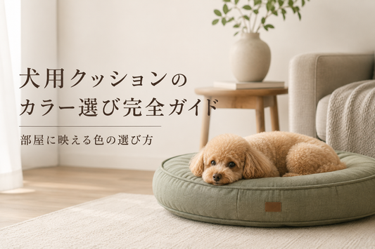 犬用クッションのカラー選び完全ガイド｜部屋に映える色の選び方
