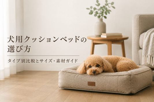 犬用クッションベッドの選び方｜タイプ別比較とサイズ・素材ガイド