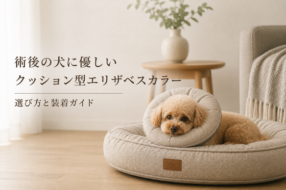 エリザベスカラーのクッション型おすすめ5選｜術後の選び方とサイズの測り方