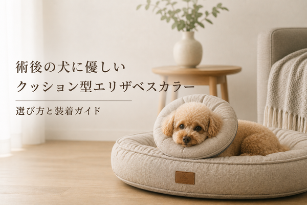 術後の犬に優しいクッション型エリザベスカラー｜選び方と装着ガイド