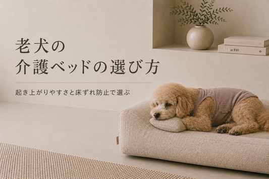 老犬の介護ベッドの選び方｜起き上がりやすさと床ずれ防止で選ぶ