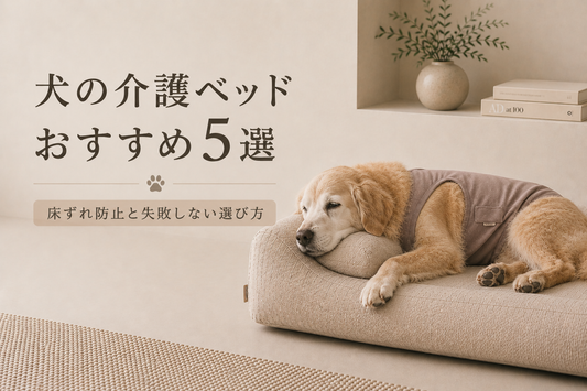 犬の介護ベッドおすすめ5選｜床ずれ防止と失敗しない選び方