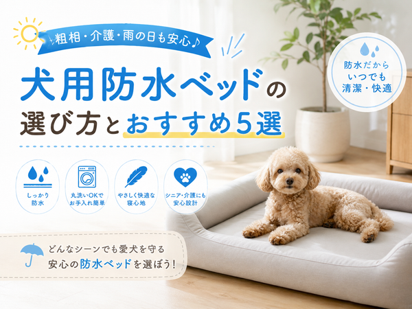 犬用防水ベッドの選び方とおすすめ5選｜粗相・介護・雨の日も安心