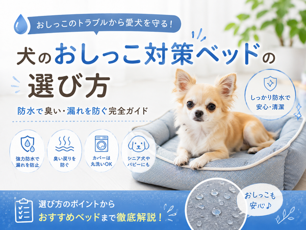 犬のおしっこ対策ベッドの選び方｜防水で臭い・漏れを防ぐ完全ガイド