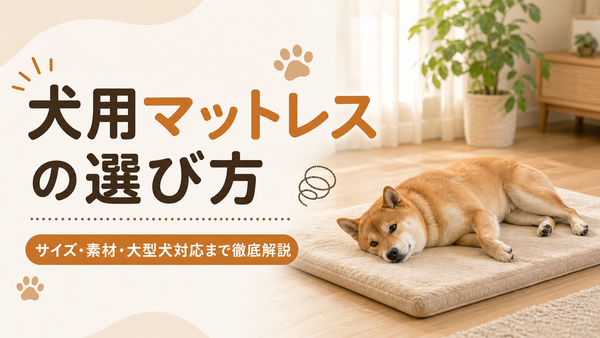 犬用マットレスの選び方｜サイズ・素材・大型犬対応まで徹底解説
