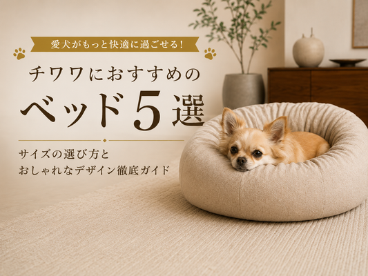 チワワにおすすめのベッド5選｜サイズの選び方とおしゃれなデザイン徹底ガイド