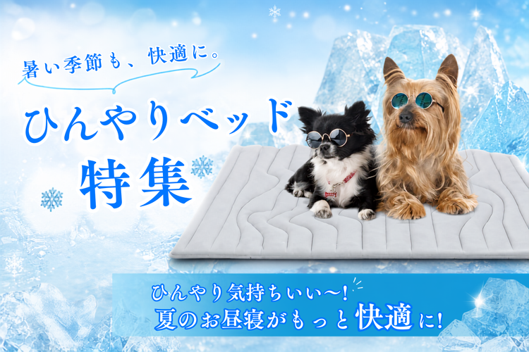 冷感・夏の犬ベッドコレクション