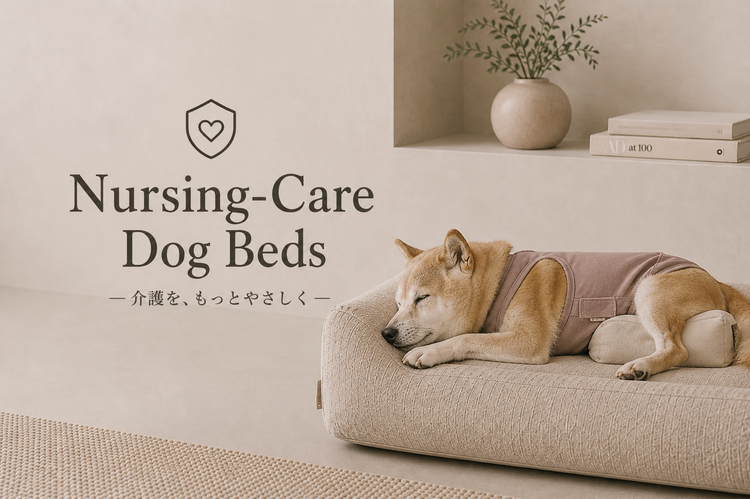 介護