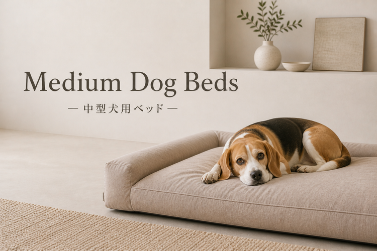 中型犬用ベッド特集｜アーキドッグ