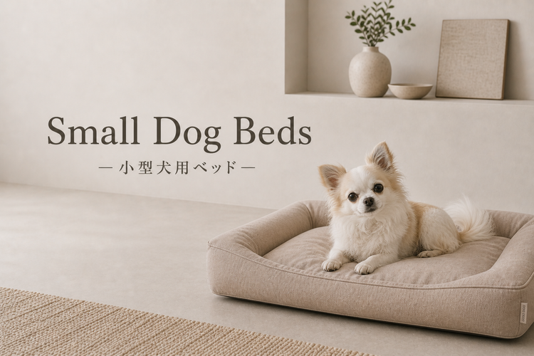 小型犬用ベッド特集｜アーキドッグ
