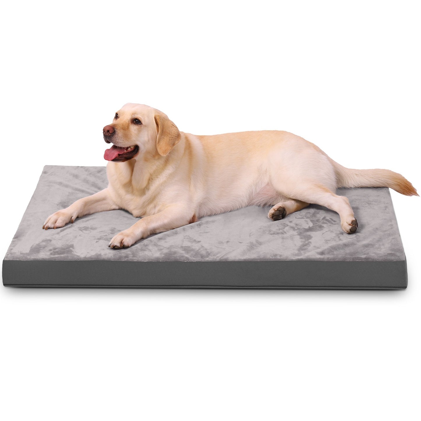 犬ベッド マット型 プラッシュ 四季対応