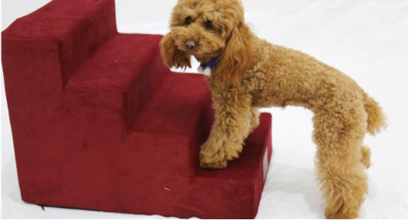 犬ベッド クッション型 プラッシュ ステップ 小型犬