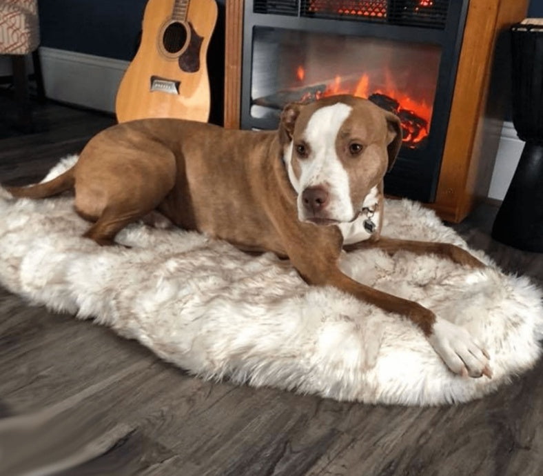 犬ベッド マット型 プラッシュ 大型犬