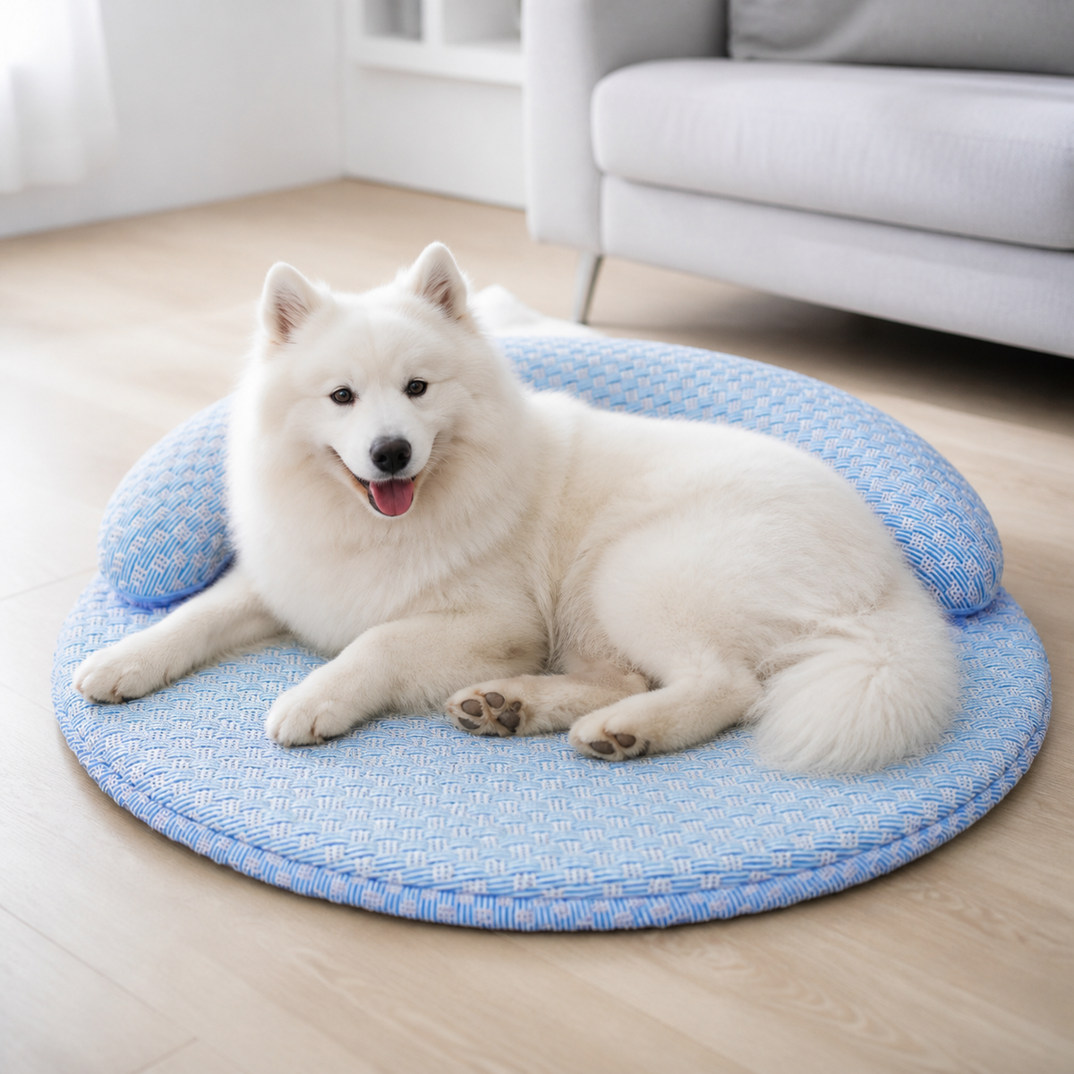 犬ベッド マット型 冷感 洗える 四季対応 の使用イメージ