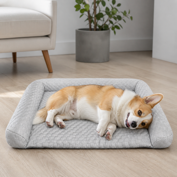 犬ベッド マット型 小型犬〜大型犬