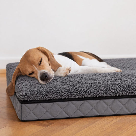 犬ベッド マット型 防水 保温 洗える 冬夏両用 全4サイズ 素材