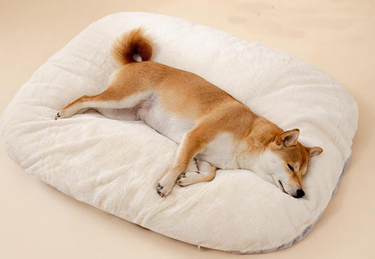 犬ベッド クッション型 プラッシュ 防水 大型犬 滑り止め
