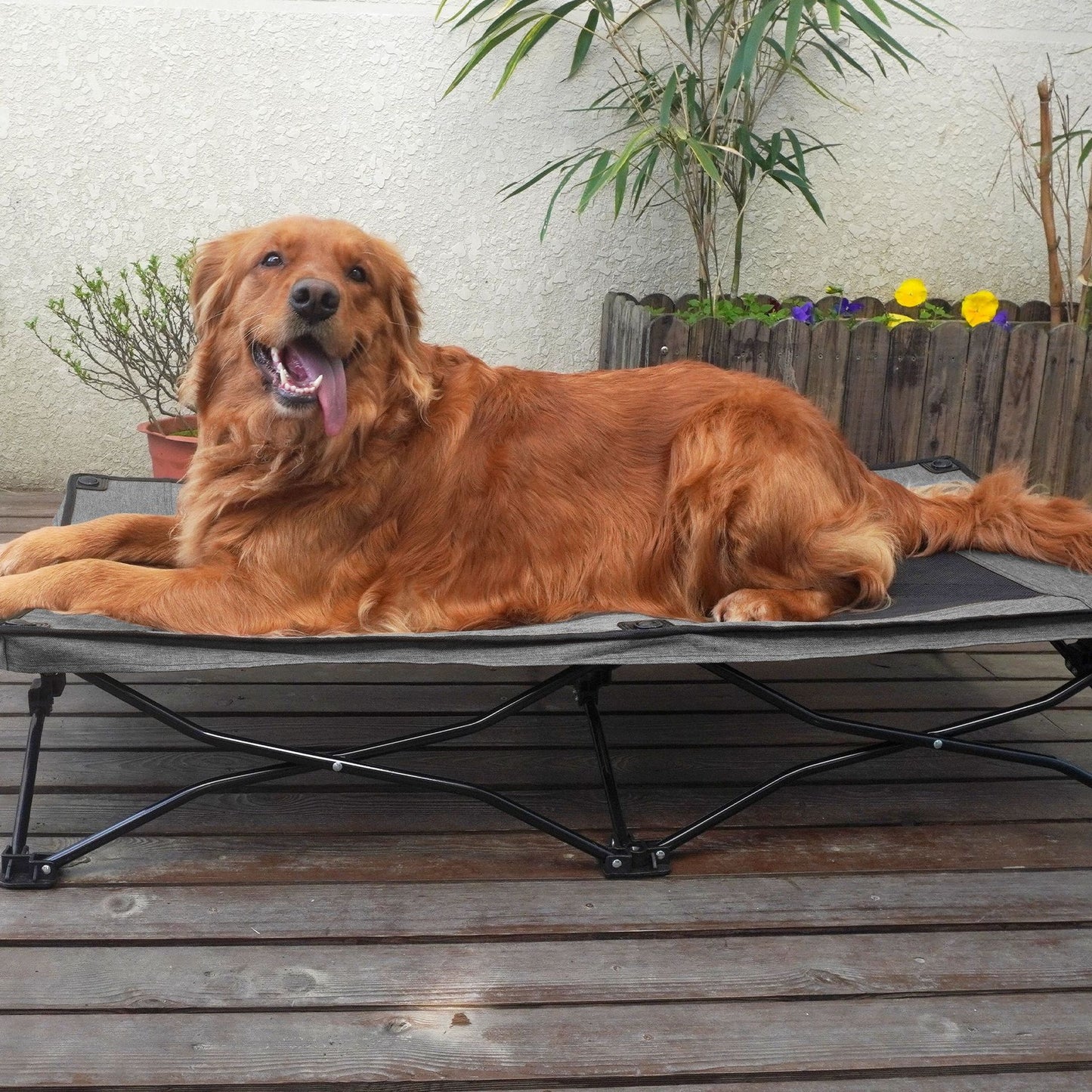犬ベッド クッション型 プラッシュ 大型犬 折り畳み