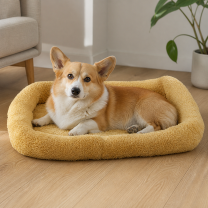 犬ベッド カドラー 四季対応 小型犬 の使用イメージ