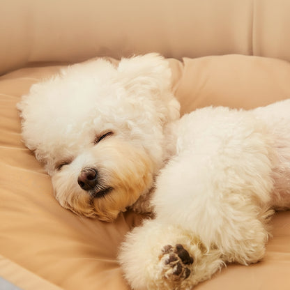 犬ベッド ドーム型 プラッシュ 洗える