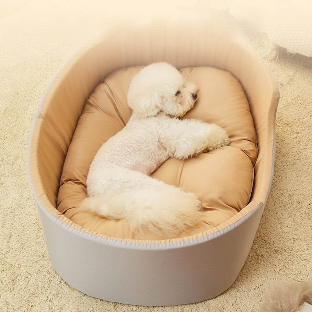 犬ベッド ドーム型 プラッシュ 洗える