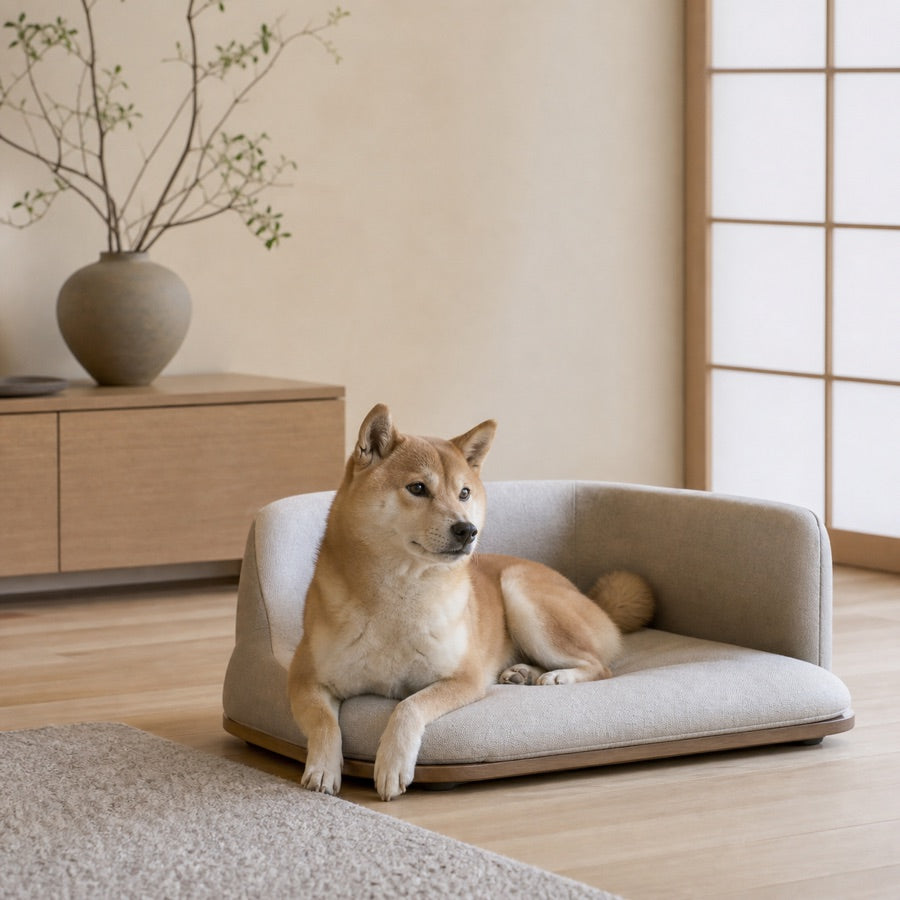 柴犬